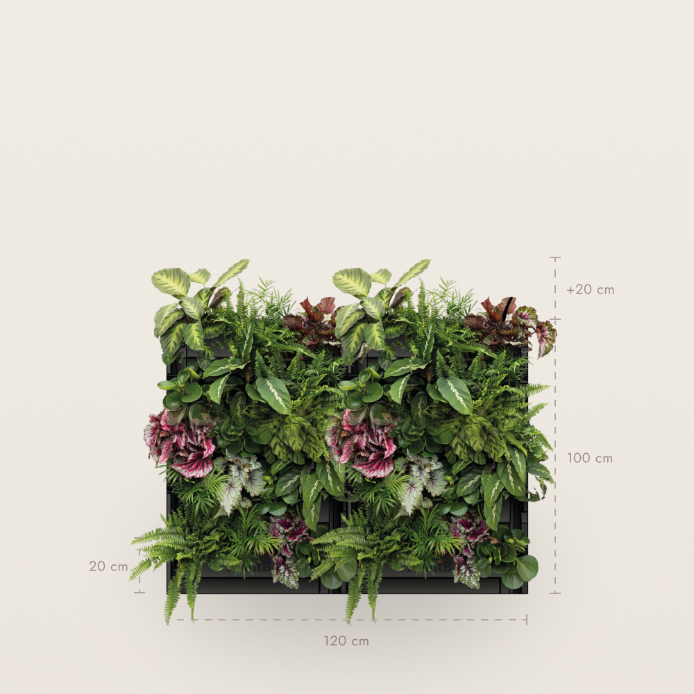 PlantBox - Živá stěna 3 moduly