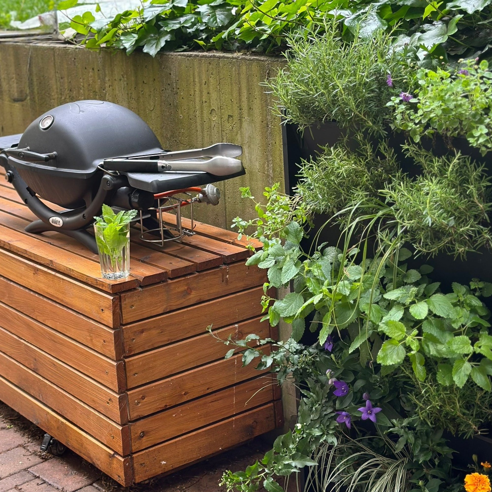 PlantBox - Živá stěna 3 moduly