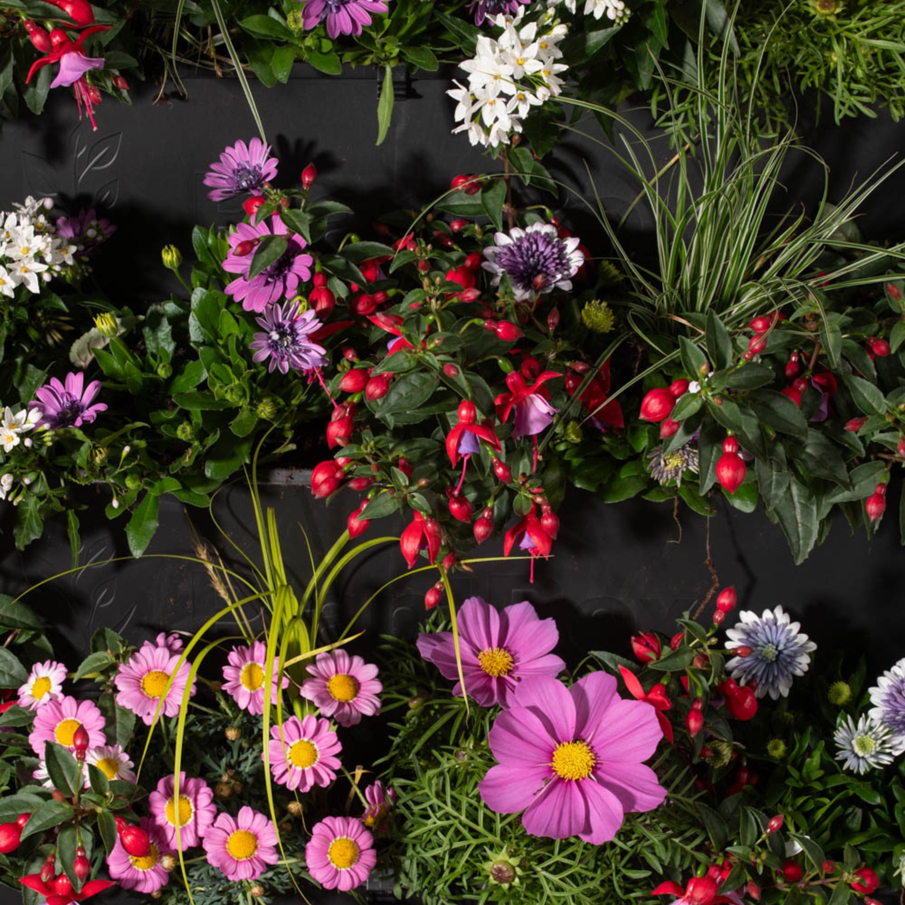 PlantBox - Živá stěna 3 moduly