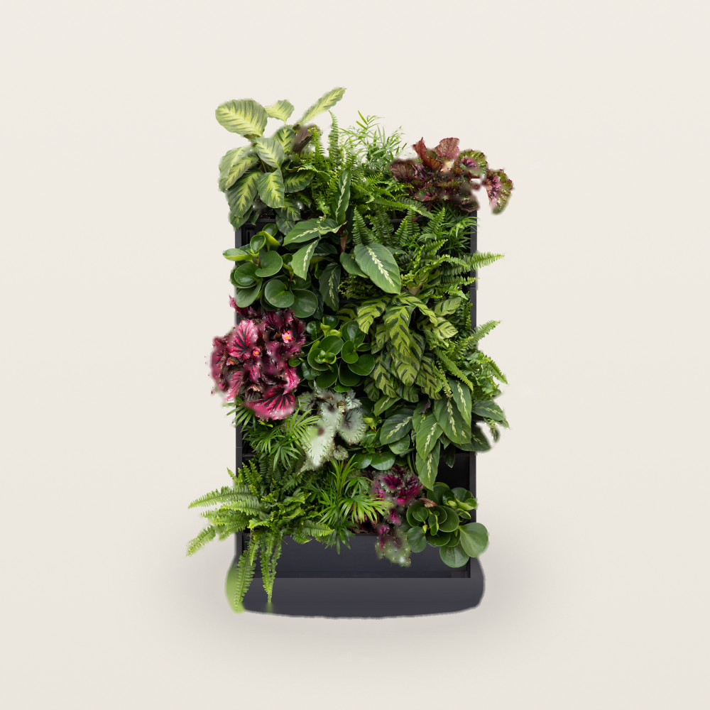 PlantBoxy a balíčky