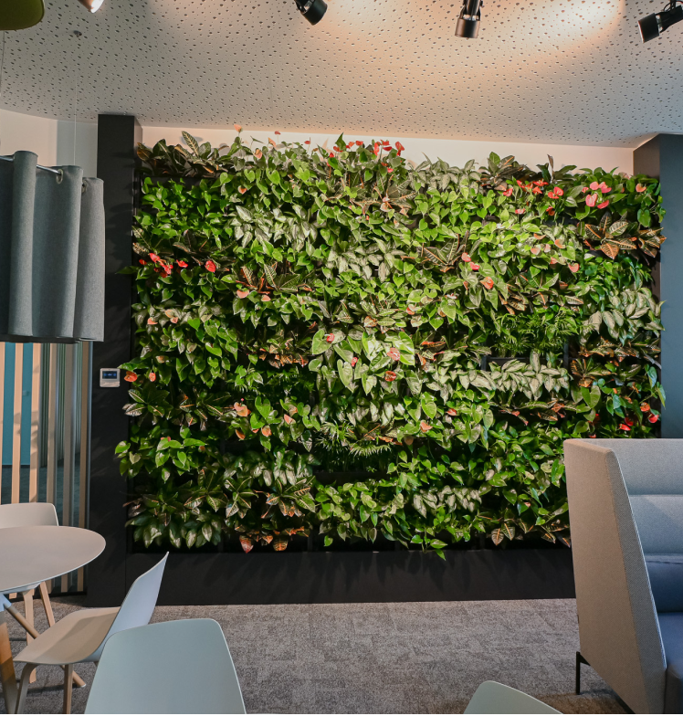 PlantBox - Živá stěna 1 modul