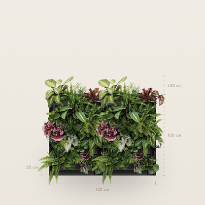 PlantBox - Živá stěna 3 moduly