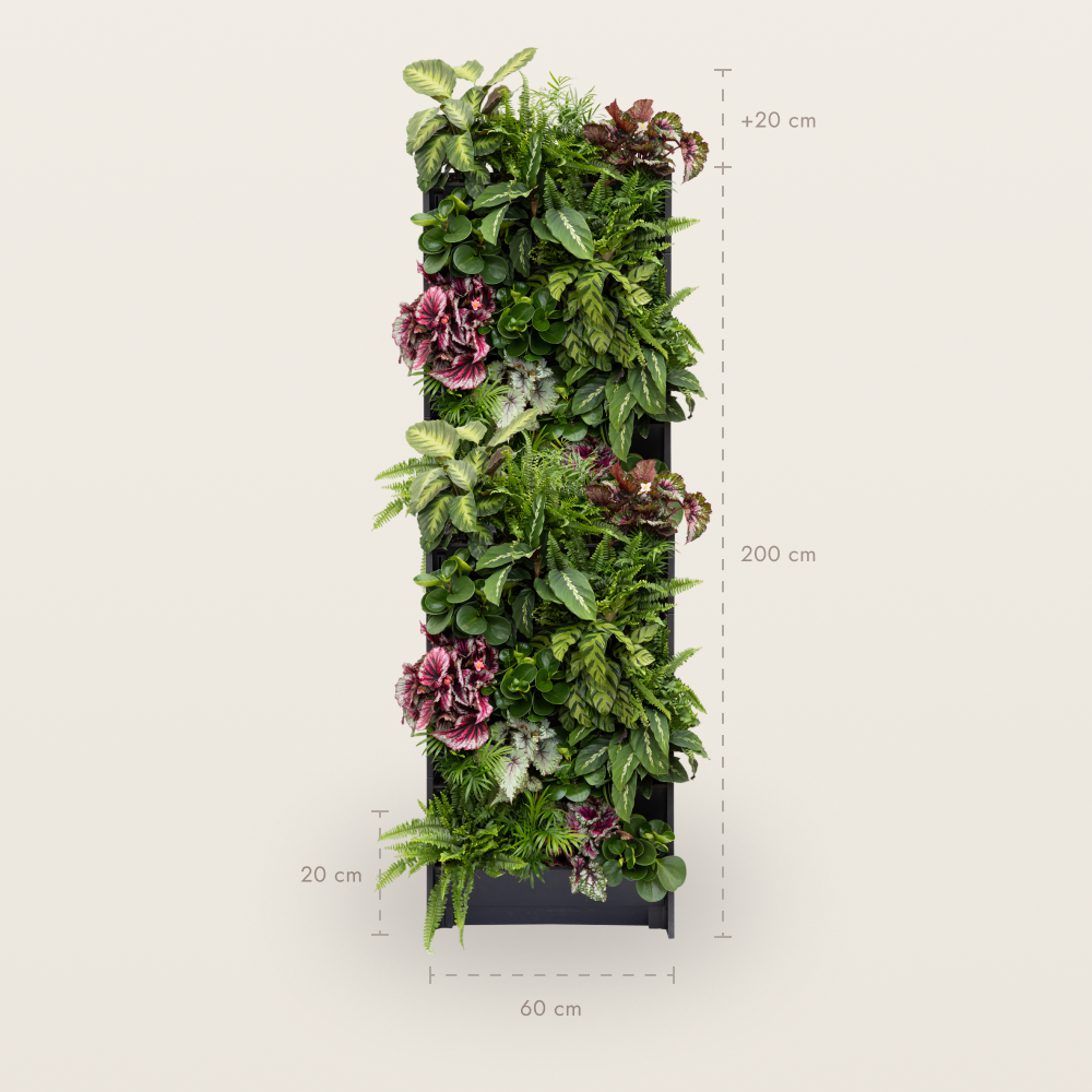 PlantBox - Živá stěna 10 modulů