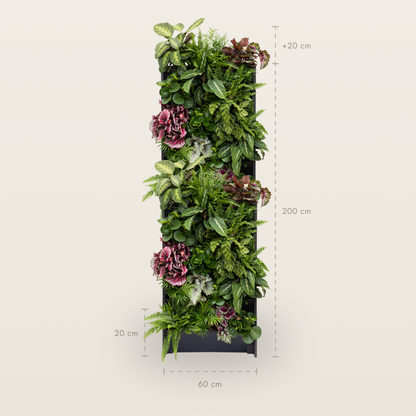 PlantBox - Živá stěna 10 modulů