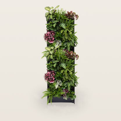 PlantBox - Živá stěna 10 modulů