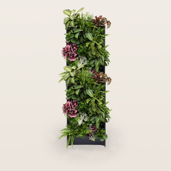PlantBox - Živá stěna 10 modulů