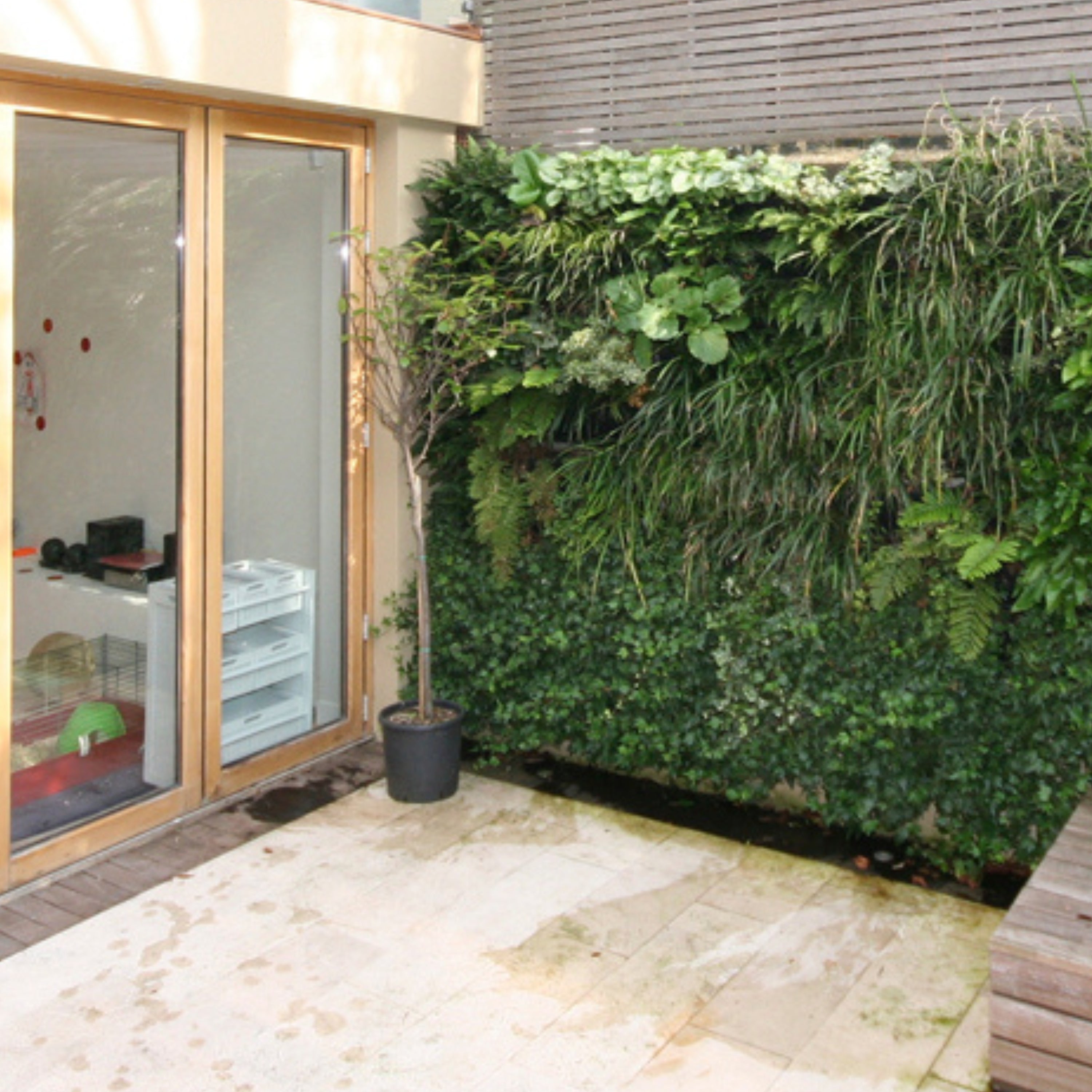 PlantBox - Živá stěna 10 modulů