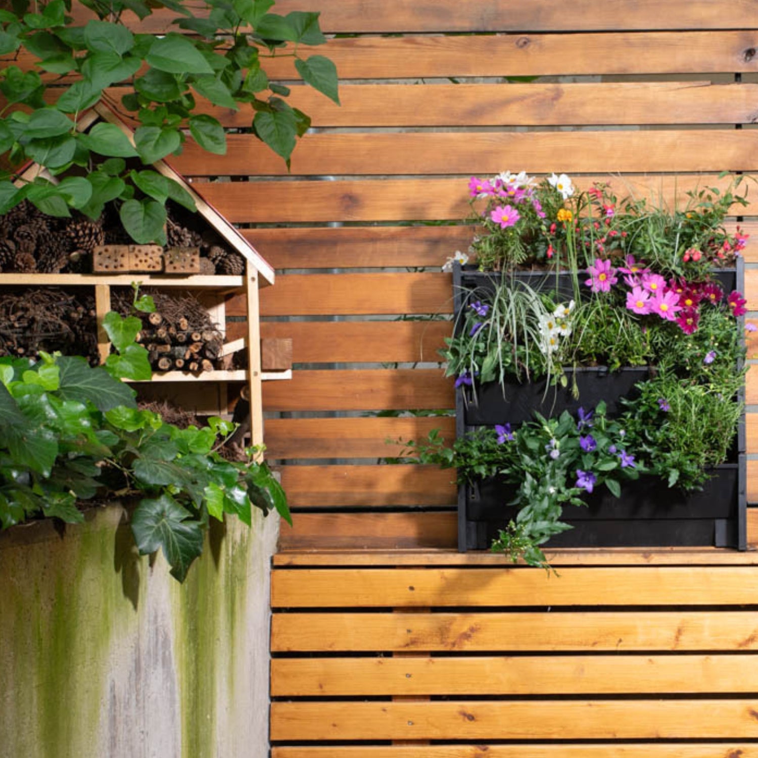 PlantBox - Živá stěna 3 moduly