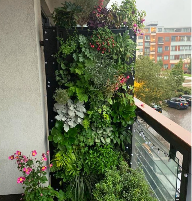 PlantBox - Živá stěna 1 modul