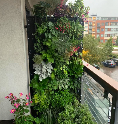 PlantBox - Živá stěna 1 modul