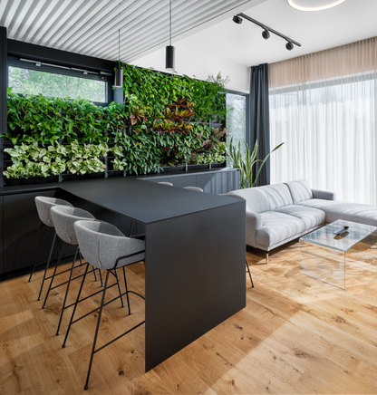 PlantBox - Živá stěna 1 modul