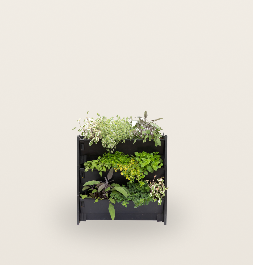 PlantBox - Živá stěna 1 modul