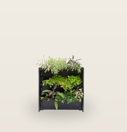 PlantBox - Živá stěna 1 modul