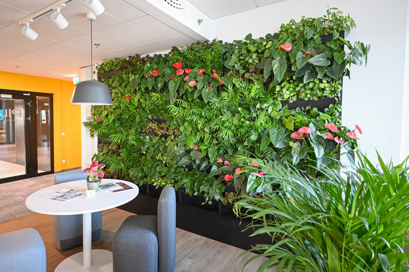 Ozelenění kanceláří PILZ