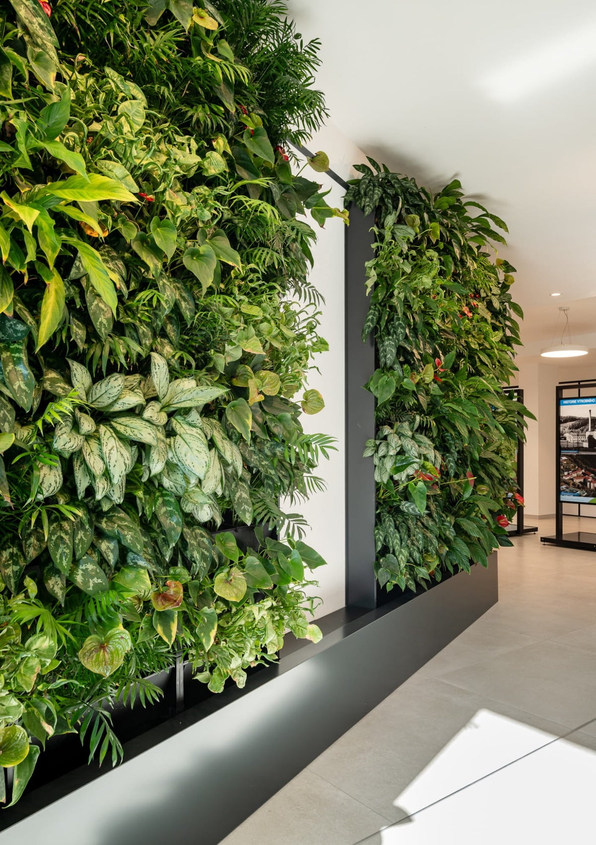 Balíček 3x PlantBox + interiérový substrát + zátka