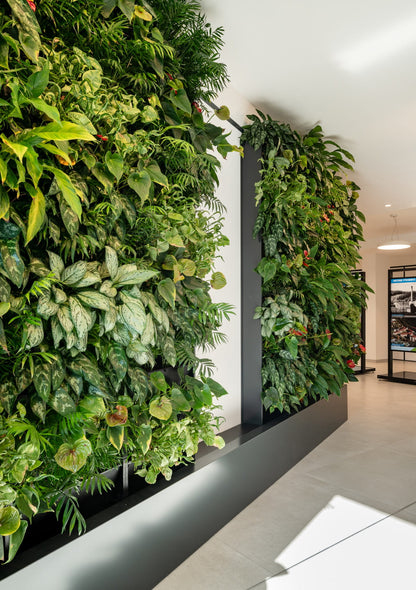 Balíček 3x PlantBox + interiérový substrát + zátka
