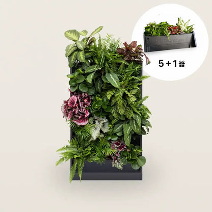 PlantBox - Živá stěna 5 modulů