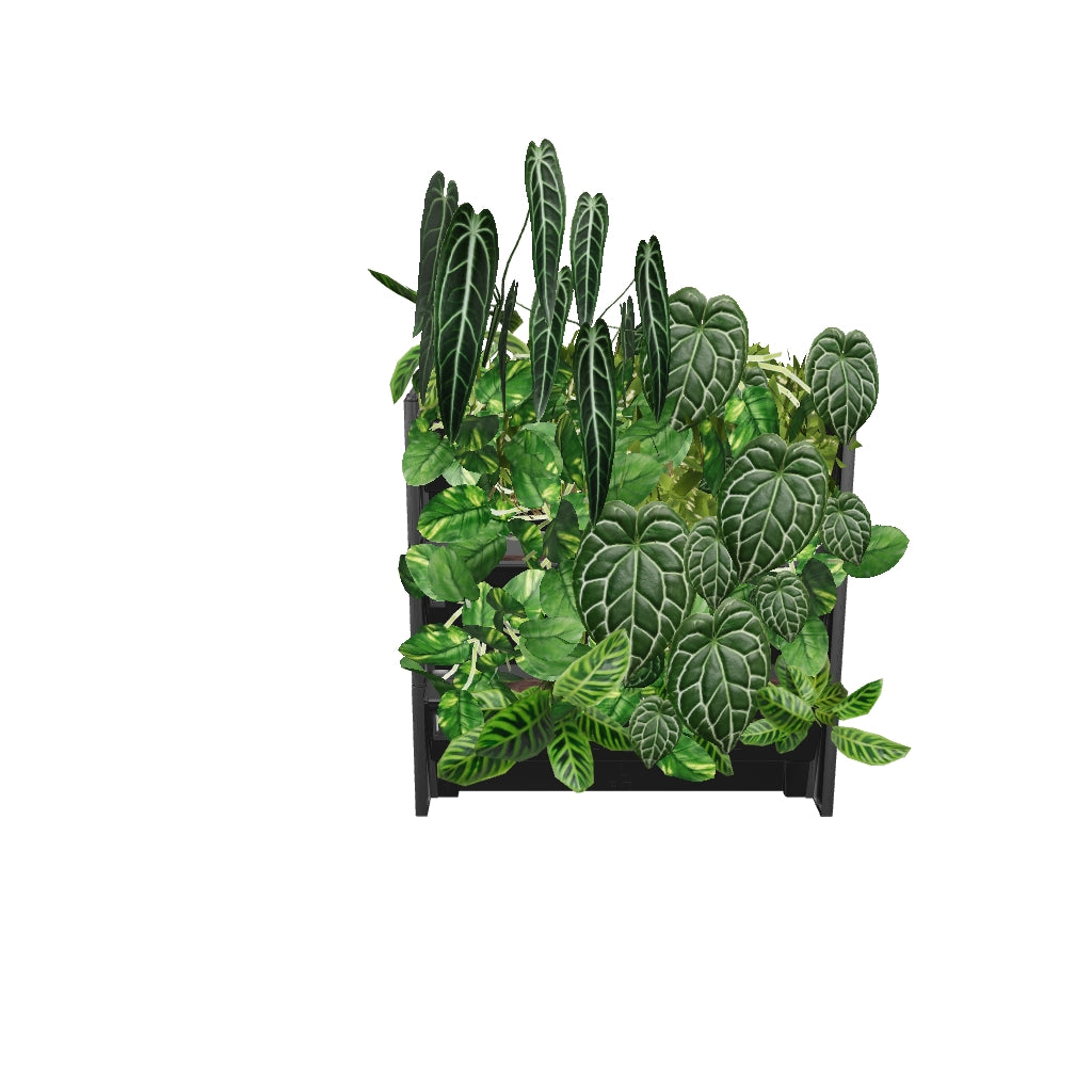 PlantBox - Živá stěna 3 moduly