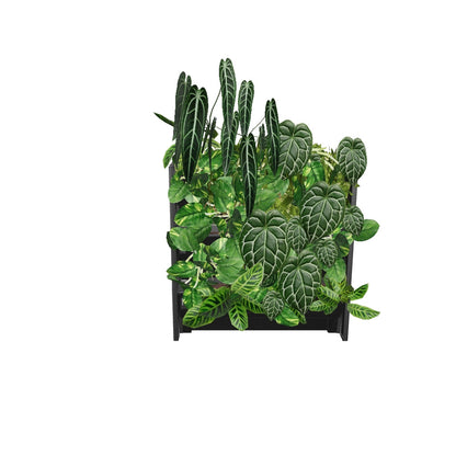 PlantBox - Živá stěna 3 moduly
