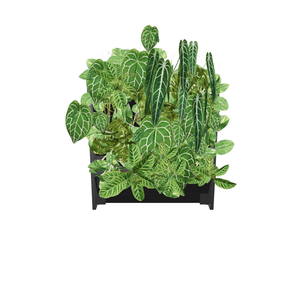 PlantBox - Živá stěna 1 modul