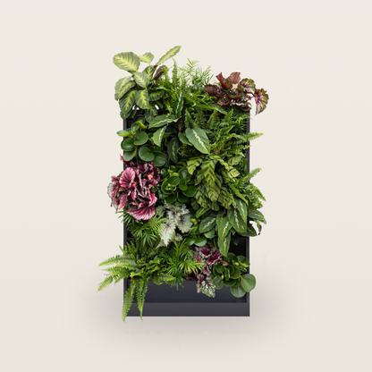 PlantBox - Živá stěna 5 modulů